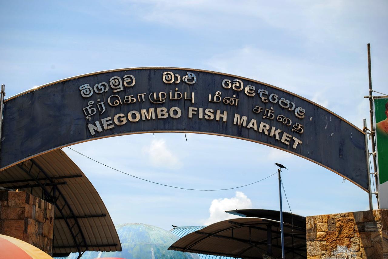 Miura Dutch Edge Bed & Breakfast Negombo